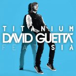 David Guetta feat. Sia - Titanium (Theemotion Reggae Remix)