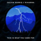 Calvin Harris feat. Rihanna - This Is What You Came For (Twisterz vs. Emdi & Coorby Remix)