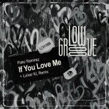 Pako Ramirez - If You Love Me (Original Mix)