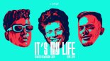 Bon Jovi - Its My Life (EFinito Extended Remix)