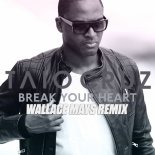 Taio Cruz - Break Your Heart (Wallace Mays Extended Remix)