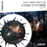 David Yarrow meets Jue - A Soul Of Essence (Original Mix)