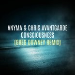 Anyma & Chris Avantgarde - Consciousness (Greg Downey Remix)