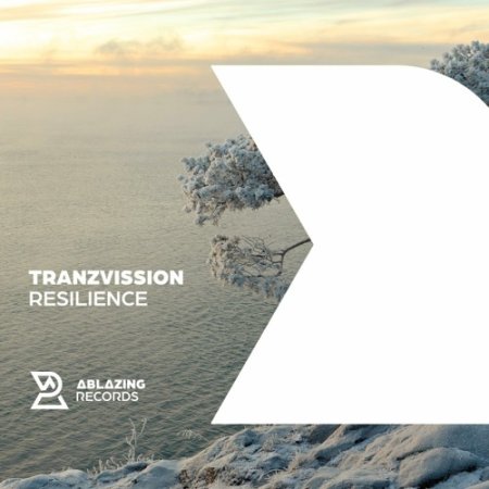 Tranzvission - Resilience