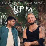 Blondino Latino x Hector Del Norte - UPM
