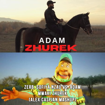 Zerb, Sofiya Nzau vs. Adam - Mwaki Zhurek (Alex Caspian Mashup)