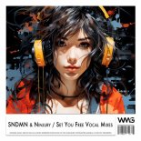 SNDMN & Ninjury - Set You Free (Original Mix)