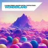 DJ Sakin & Friends, Van Der Karsten Feat. Torsten Stenzel - Wonderland (Extended Mix)