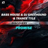 Bass house & DJ greyhound & Trance Tyle - Promise