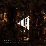 HNGT - Voices In My Mind (Original Mix)