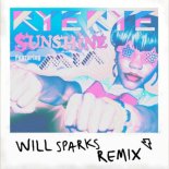 Rye Rye Feat. M.I.A. - Sunshine (Will Sparks Remix)