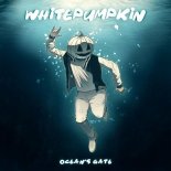 Whitepumpkin & Doncare - Tomahawk (Techno Mix)