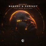 Bhaskar Feat. Dana Williams - Nobody's Perfect
