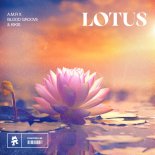 A.M.R, Blood Groove & Kikis - Lotus