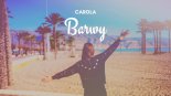 Carola - Barwy 2017
