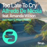 Alfredo De Nicola Ft. Amanda Wilson - Too Late To Cry (Extended Mix)