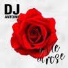 Dj Antoine - La vie en rose (Danstyle Bootleg)