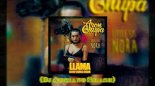 AronChupa, Little Sis Nora - Llama In My Living Room (Dj Adriano Smash)