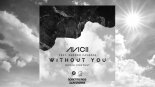 Avicii feat. Sandro Cavazza - Without You (Roberto Rios x Dan Sparks Remix)