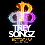 Trey Songz ft. Nicki Minaj - Bottoms Up (Ben Delaney Bootleg)