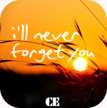 Crystalline - I'll Never Forget You