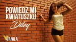 Diley - Powiedz Mi (Dominik 3YP Ver.80 Remix)