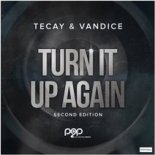 TeCay & Vandice - Turn It up Again (Solidus feat. DJ Tripple-O Remix Edit)