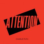 Charlie Puth - Attention (Theemotion Reggae Remix)