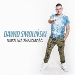 Dawid Smoliński - Burzliwa znajomość (Line & Noize Remix)