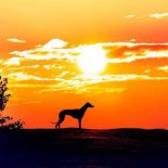 Vitor Kley - O Sol (Dubdogz Remix)