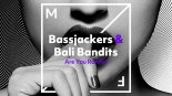 Bassjackers & Bali Bandits - Are You Randy? (Original Mix)