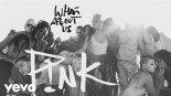 P!nk - What About Us ( Vaan G Bootleg)