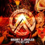 Brisby - Its My Life (Daniel Hein Remix)