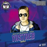 Infected Mushroom - I Wish (Yastreb Radio Edit)