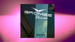 Gromee feat. Andreas Moe - Gravity (Sun Radio Edit)