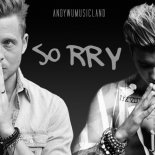 Justin Bieber & OneRepublic - Sorry/Apologize