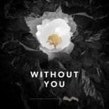 Avicii - Without You (The Hitmen Bootleg)