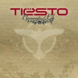Tiesto - Elements of Life (Radiology Remix)