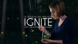 K-391 & Alan Walker feat. Julie Bergan & Seungri - Ignite (Original Mix)