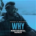 Shaggy &  Massari - Why (Mastiksoul Remix)