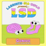 LSD ft. Sia & Diplo & Labrinth - Genius (Banx & Ranx Reggae Remix)