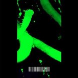 Antoine Delvig & Felicity - Storm (Original Mix)