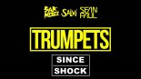 Sak Noel & Salvi ft. Sean Paul - Trumpets (Since Shock Bootleg)