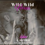 Lotus & Antonia feat. Jay Sean & Pitbull feat. Jay Sean, Pitbull - Wild Wild Horses (Bodybangers VIP Remix)