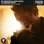 Big Pineapple & Don Diablo vs. Madison Mars - Another Shuffle Chance (Peekaboo & Whaler Mashup)