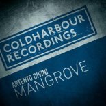 Artento Divini - Mangrove (Extended Mix)