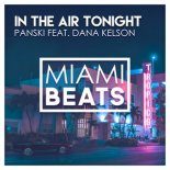 Panski feat. Dana Kelson - In The Air Tonight