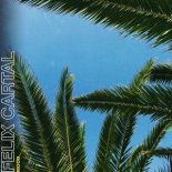 Felix Cartal - Mood (Steff Da Campo Extended Remix)