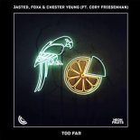 Jasted, Foxa & Chester Young Ft. Cory Friesenhan - Too Far (Original Mix)