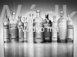 Baciary - Wódko Ma (Levelon Remix)